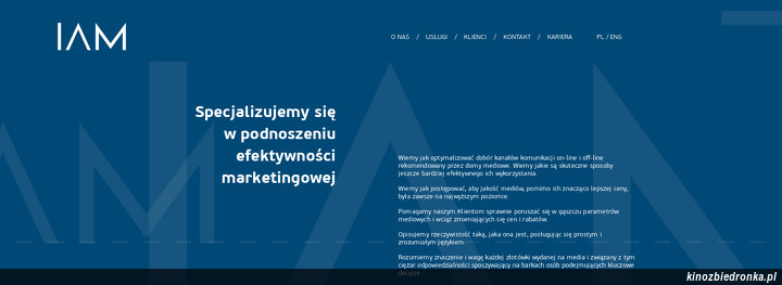 Instytut Audytu Mediowego